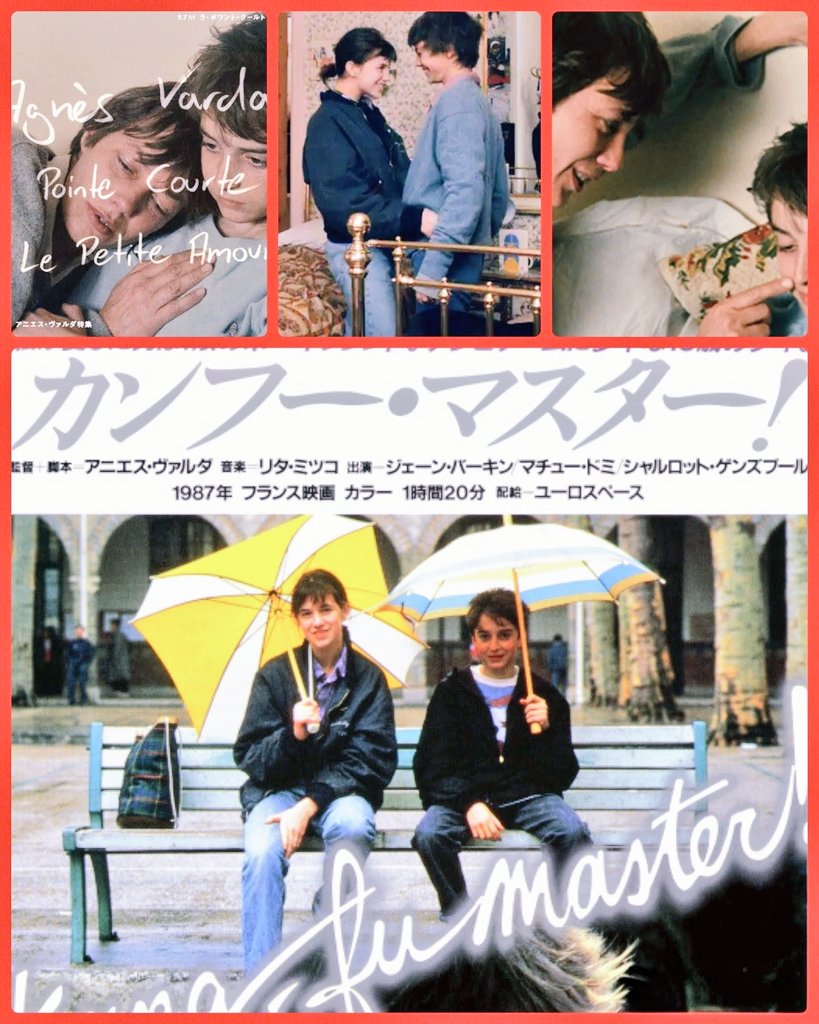 かんの🍉ねこ tweet media