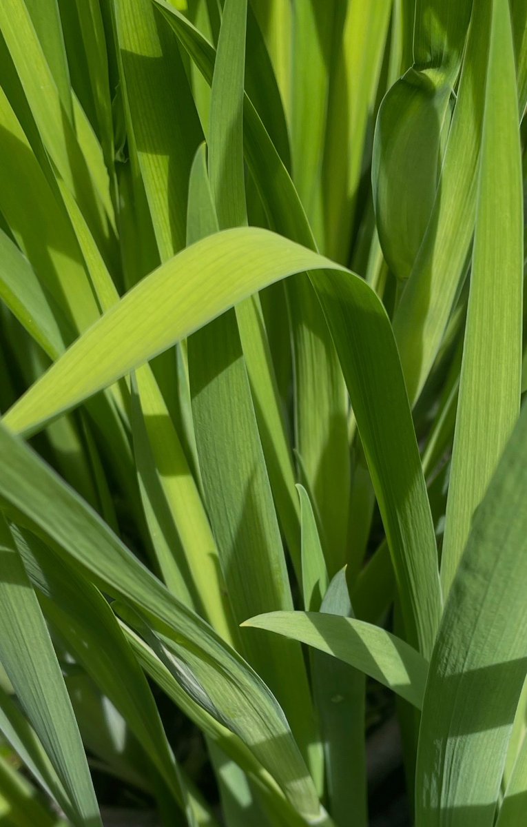 村上湛 tweet media