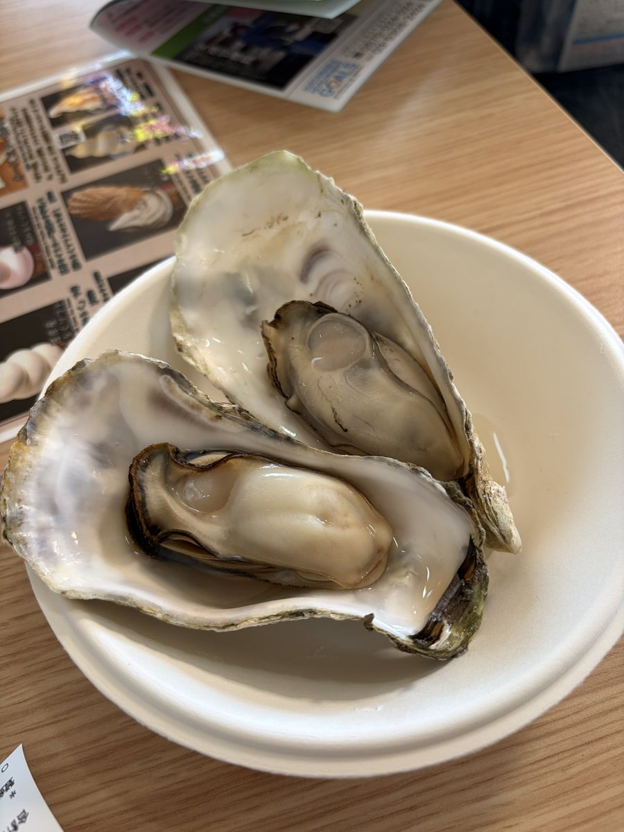 しゃーくれ@35周年車RF tweet media