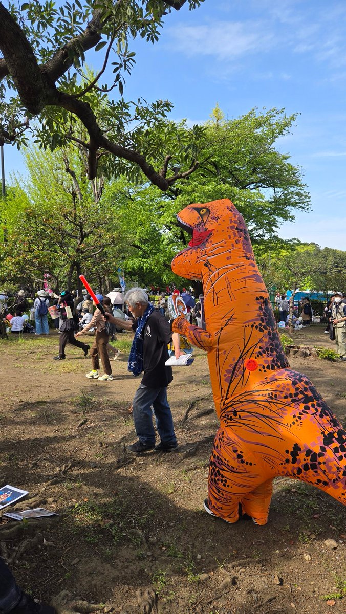 猫重力 tweet media