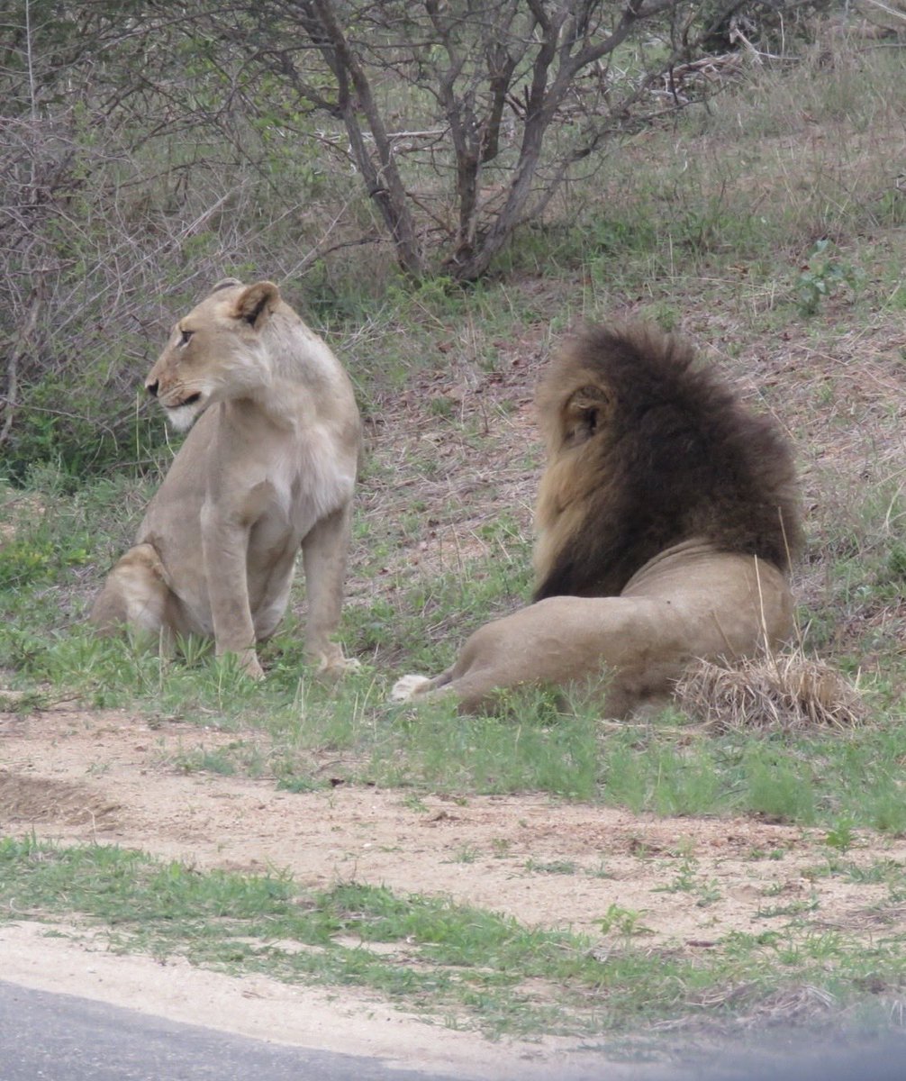 EdwardthembaSa's tweet photo. I think she’s beautiful 😍😍They’re on honeymoon.
#Myoffice
📍KNP https://t.co/7Uj9rPrfup
