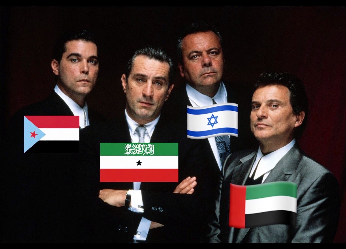 TrulyLander 🇦🇪🇺🇸🇹🇼🇮🇱💚🤍❤️/💙🇾🇪 tweet media