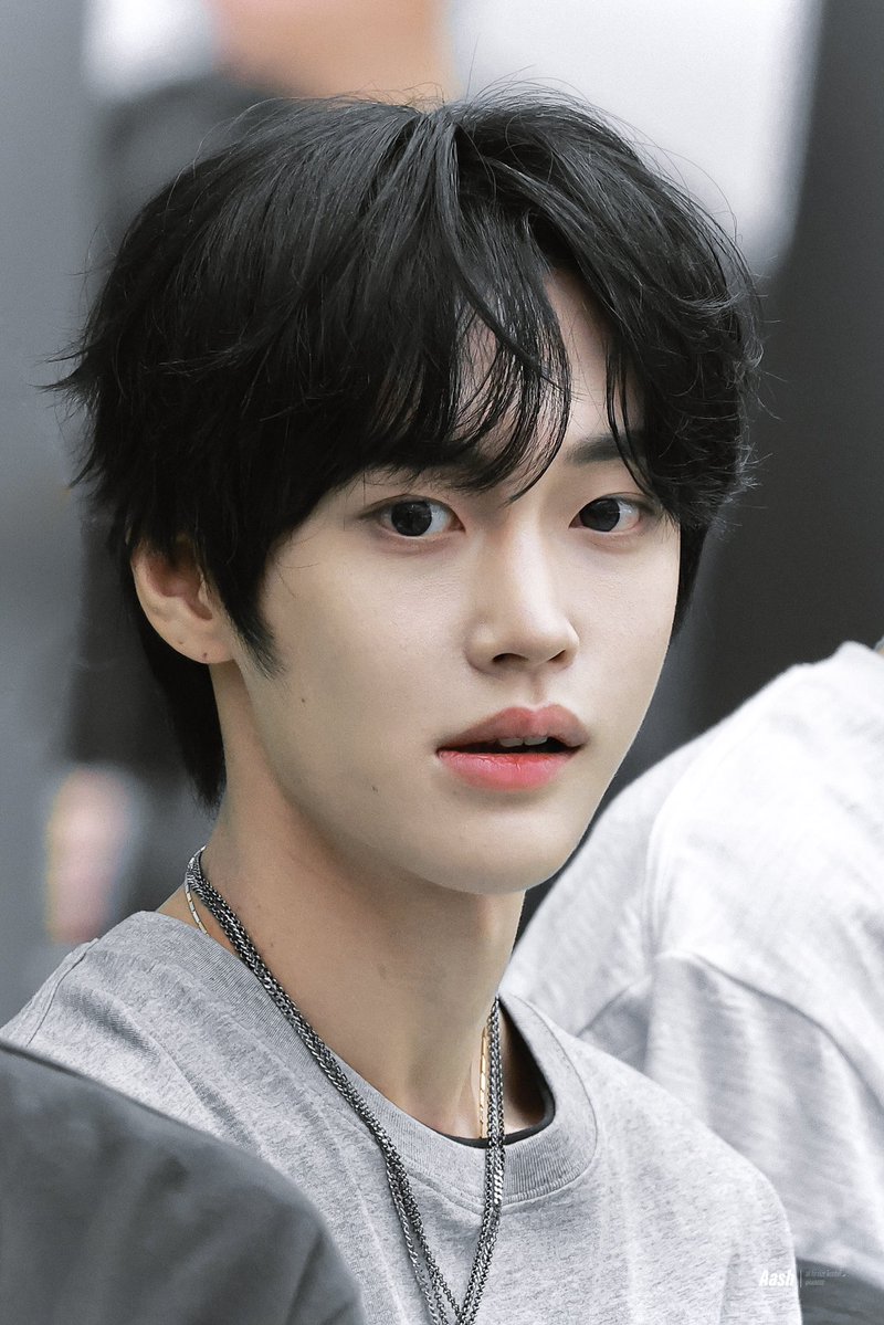 𝙰𝚊𝚜𝚑 tweet media