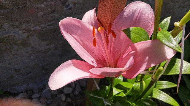 Angela Plante tweet media