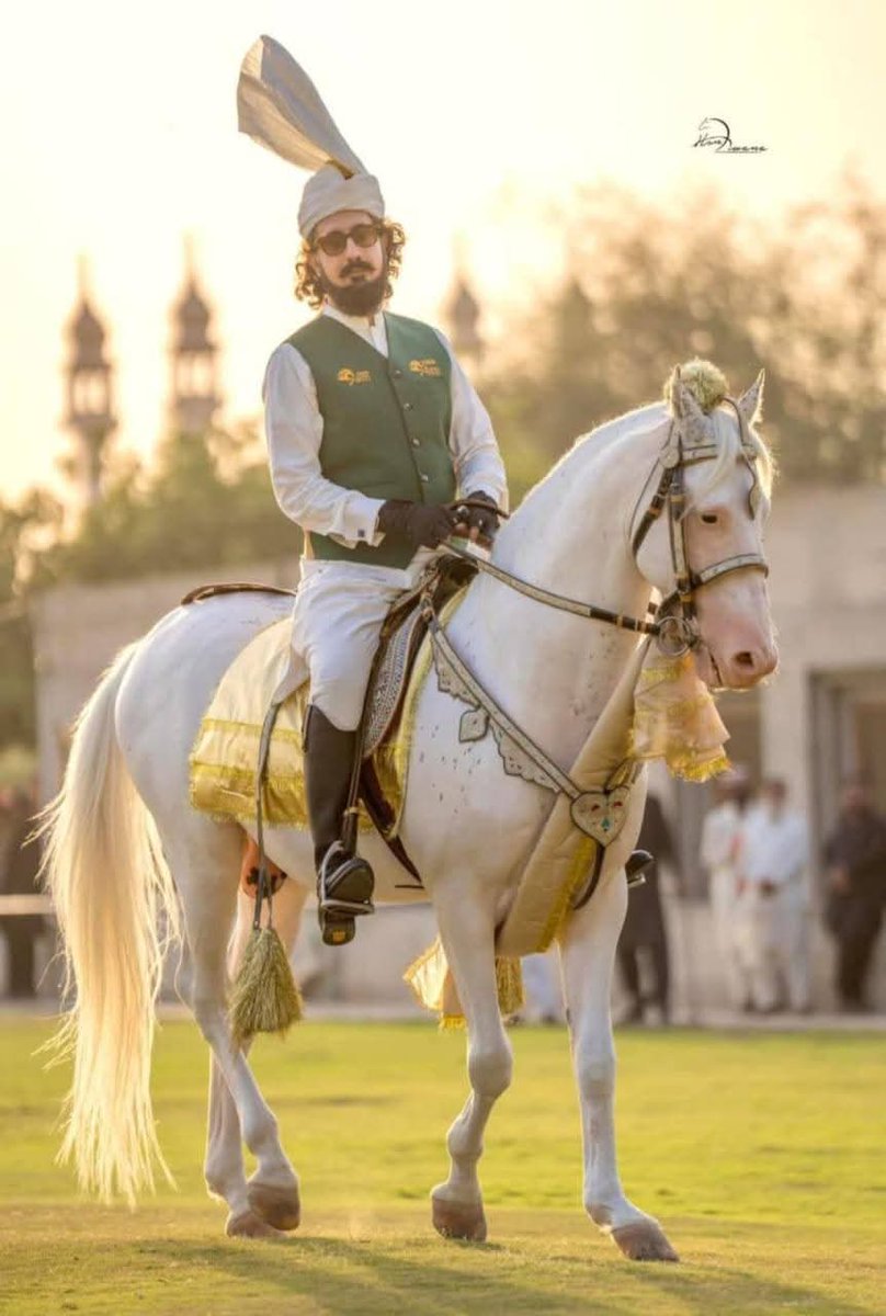 صاحبزادہ سلطان محمد علی صاحب کی انتھک محنت لگن اور شوق کی وجہ سے پاکستان میں نیزہ بازی کے کھیل کو عالمی سطح پر لے کر جانا پاکستان کی جیت ہے 
#SultanVicePresidentITPF
#SultanRisesAgain
#GreenFlagRisesAtITPF