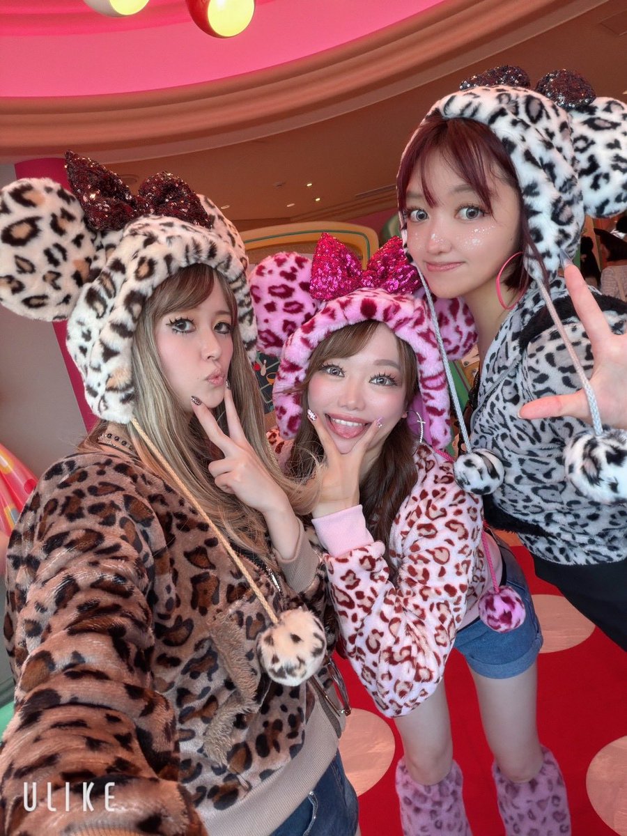 カステラ。 tweet media