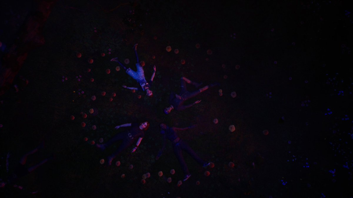 loony_balloon's tweet image. "And now, the end is near
And so I face the final curtain"

#LostRecords #PhotoMode #DigitalPhotography