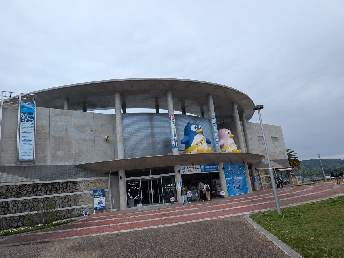 わっきー@ tweet media