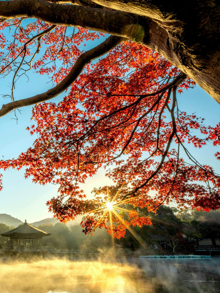 AP 🏔️ ☀️ tweet media