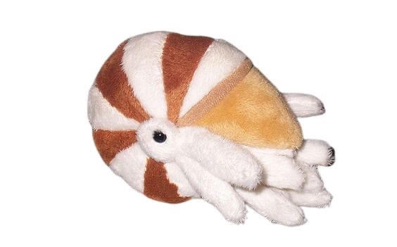 Daily object tweet media