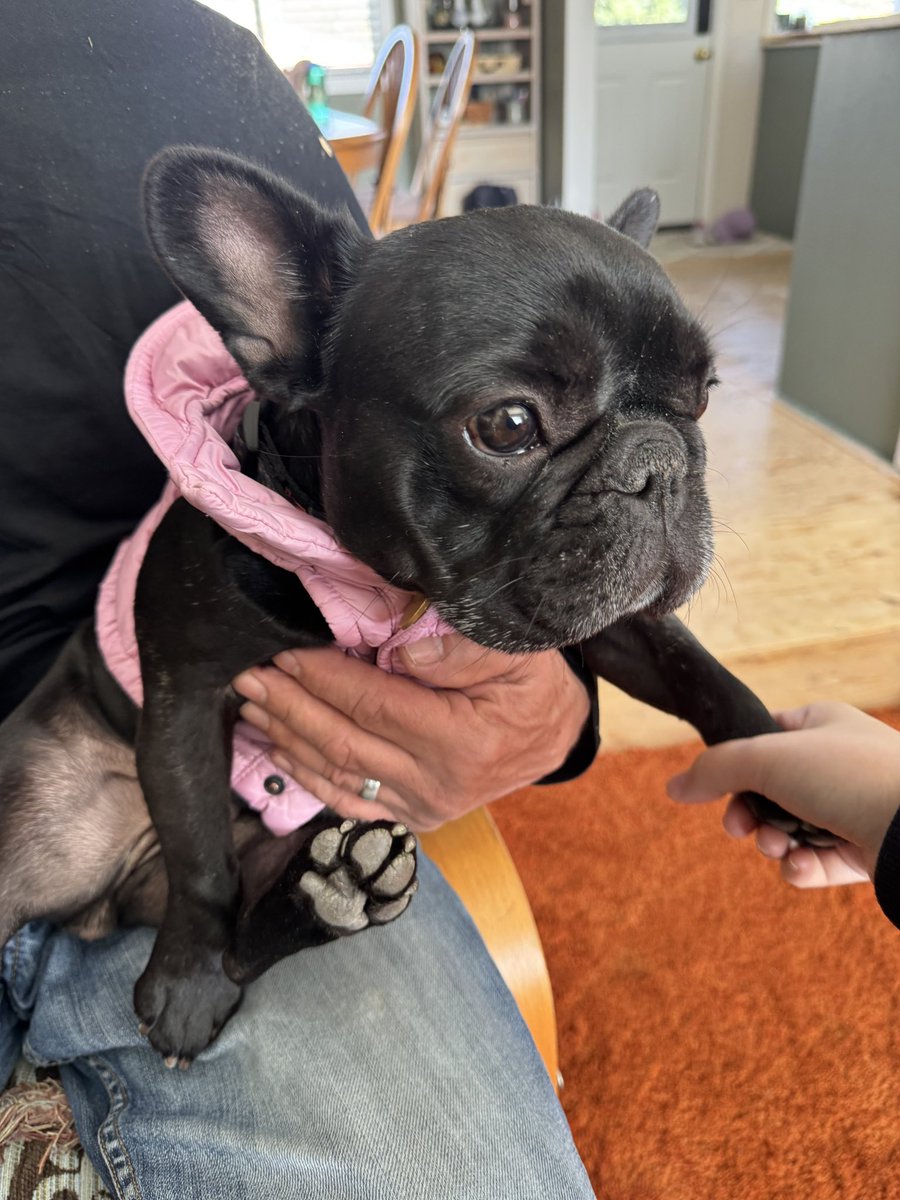 めいのケロウナライフ🇨🇦 tweet media