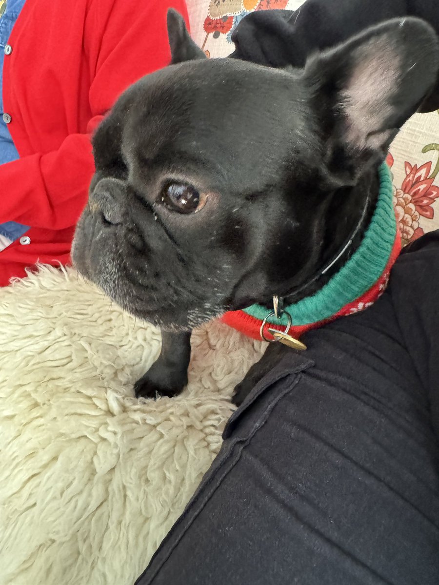 めいのケロウナライフ🇨🇦 tweet media