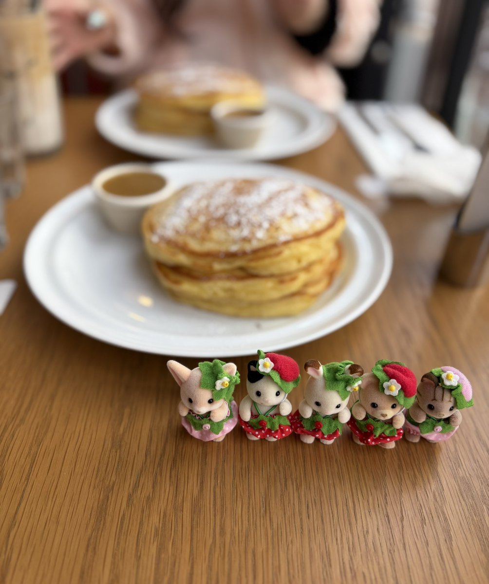 赤福ちゃん tweet media