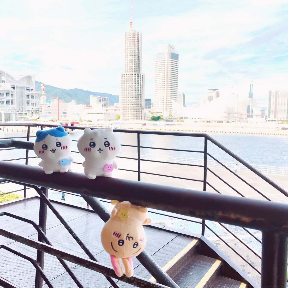 かんちゃ🍊ちいかわ生活 tweet media