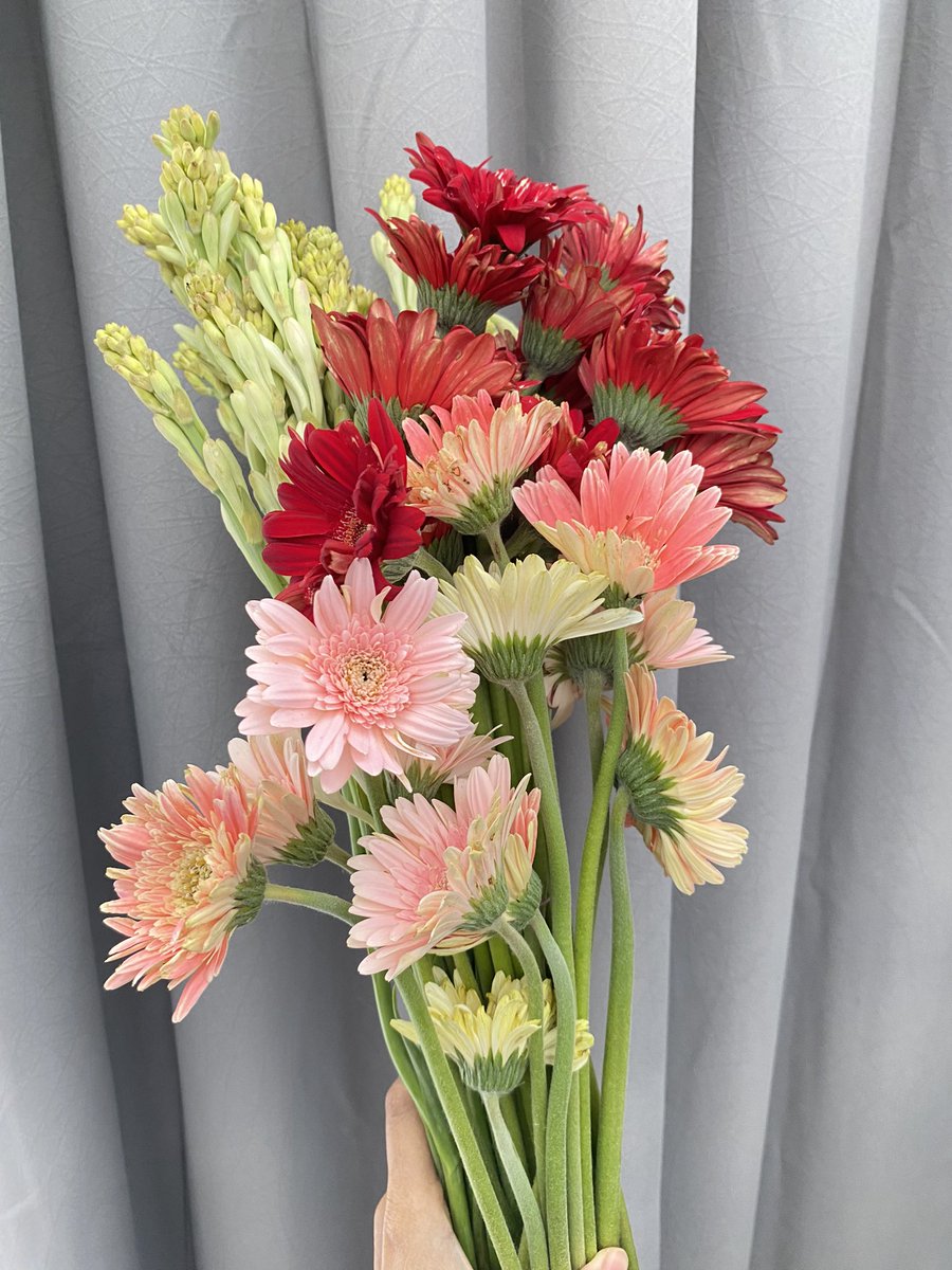 bubu miyo tweet media