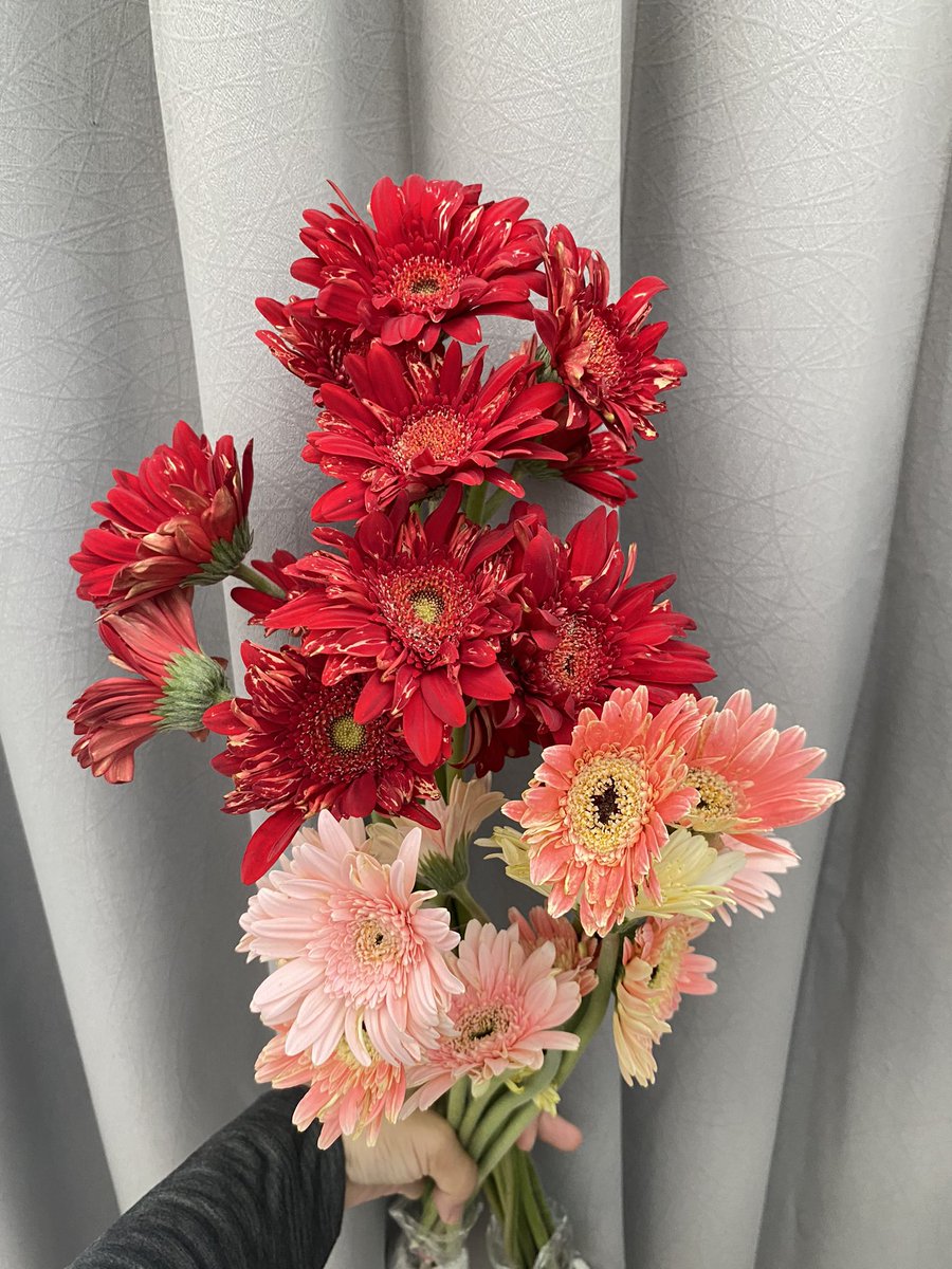 bubu miyo tweet media