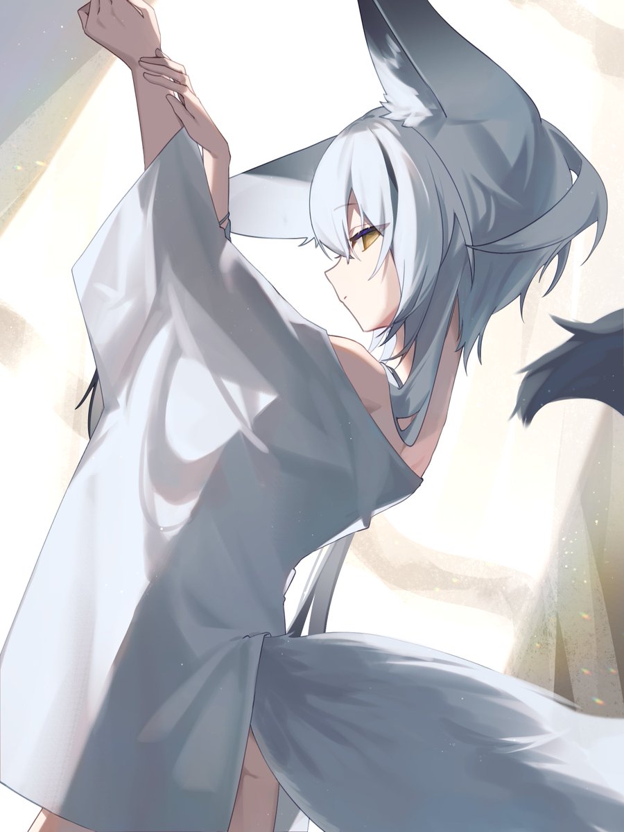 猫半纏(ねこはんてん) tweet media