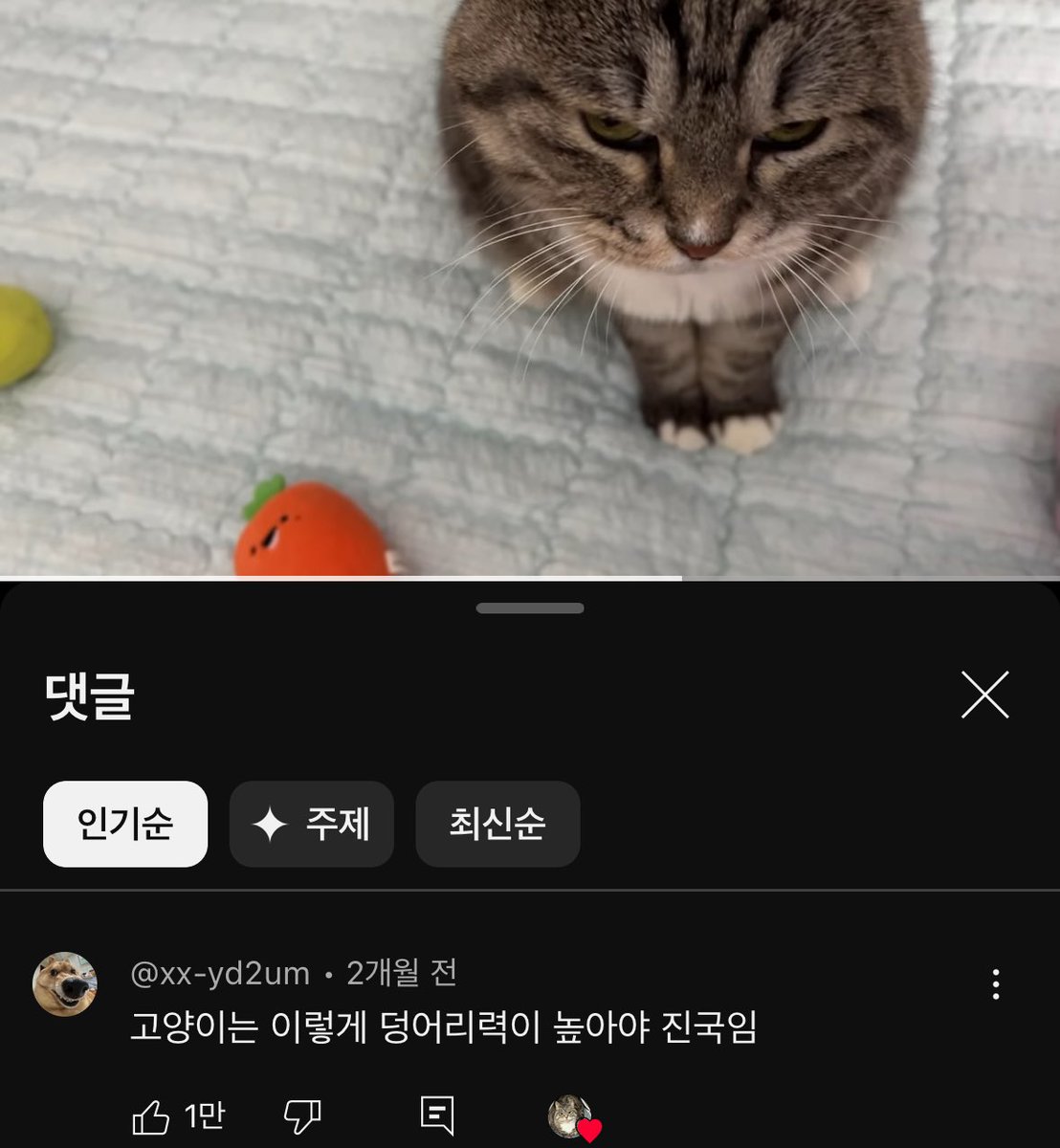 이 일러 뭐랄까 굉장히 덩어리력 높게 느껴짐