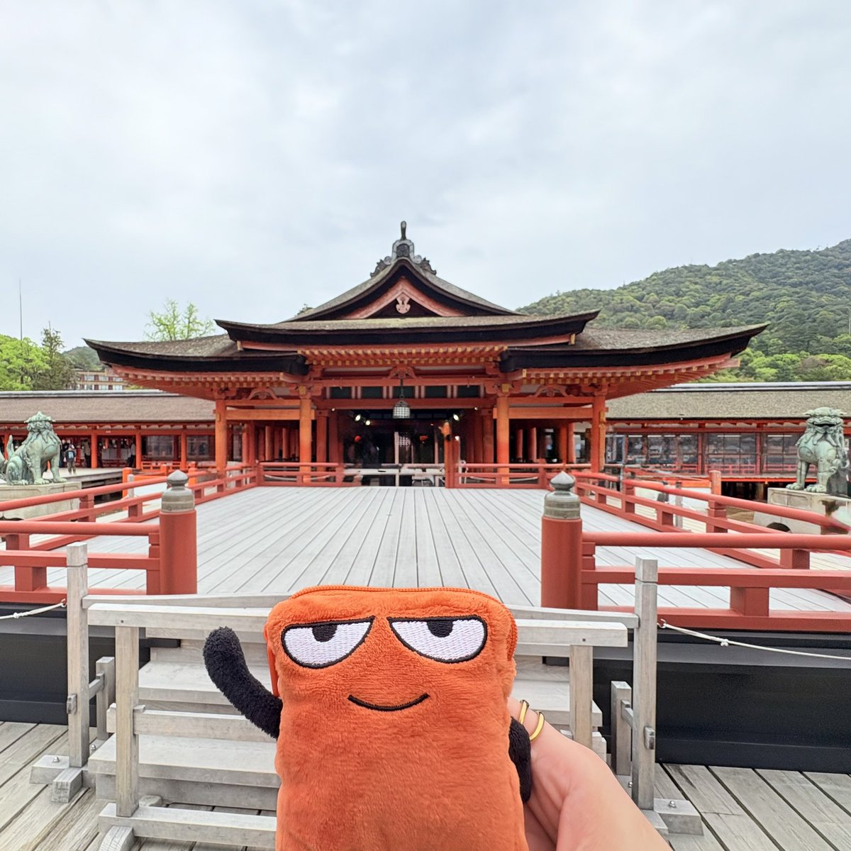 ∠ごはん tweet media