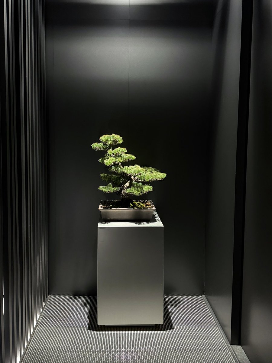 三半規管 tweet media