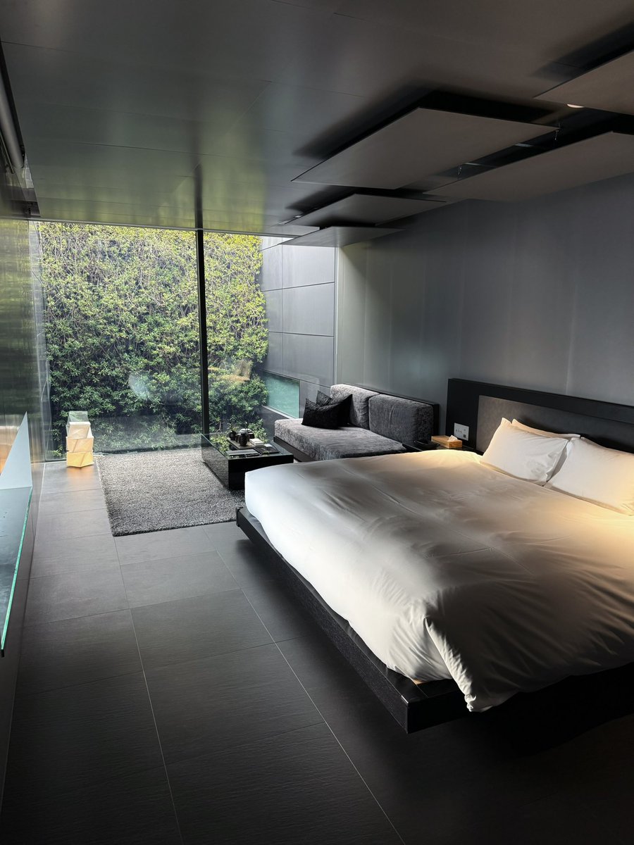 三半規管 tweet media