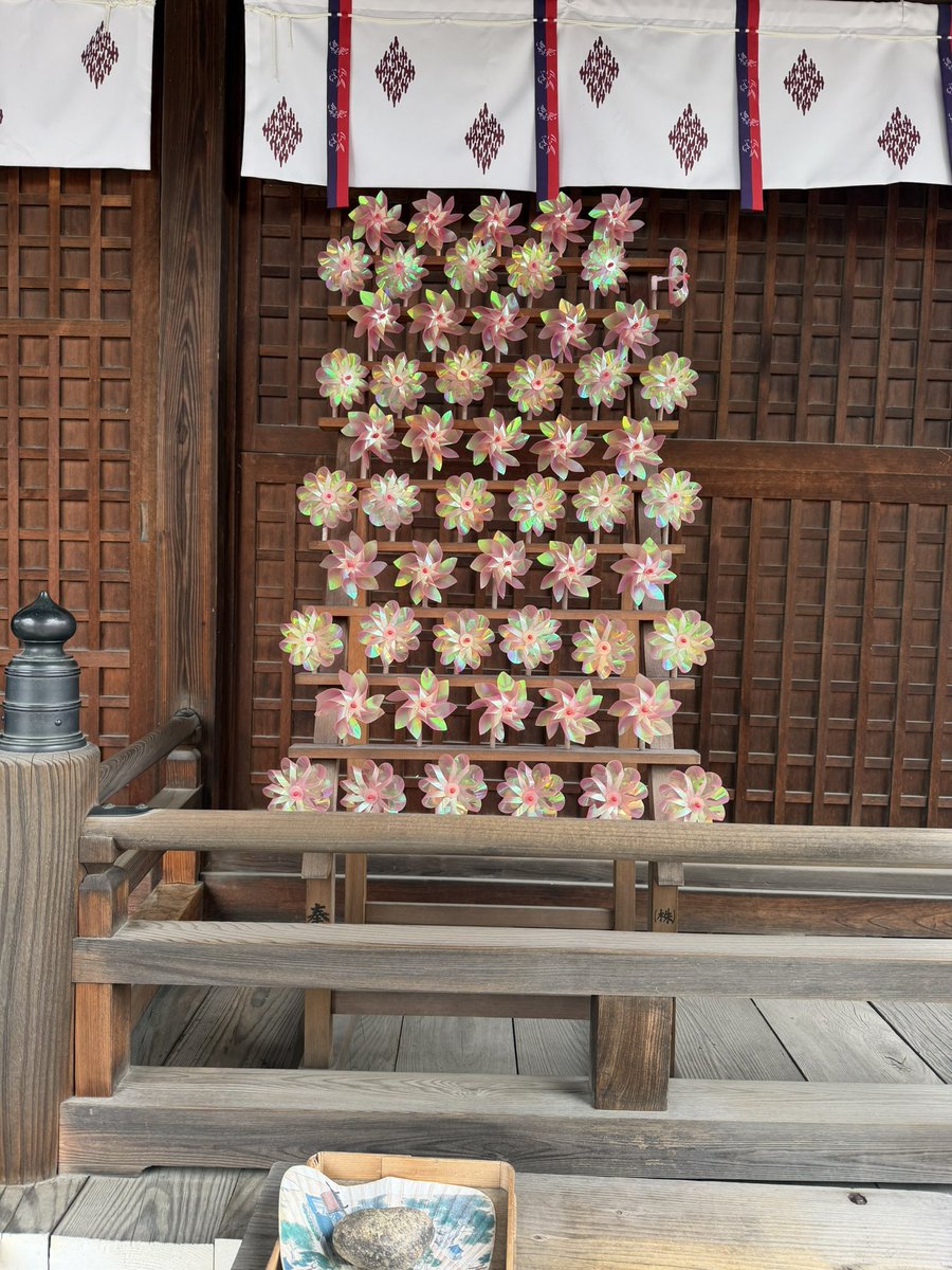 わい（y）🐤❤️ tweet media