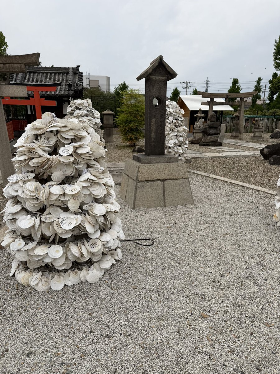 わい（y）🐤❤️ tweet media