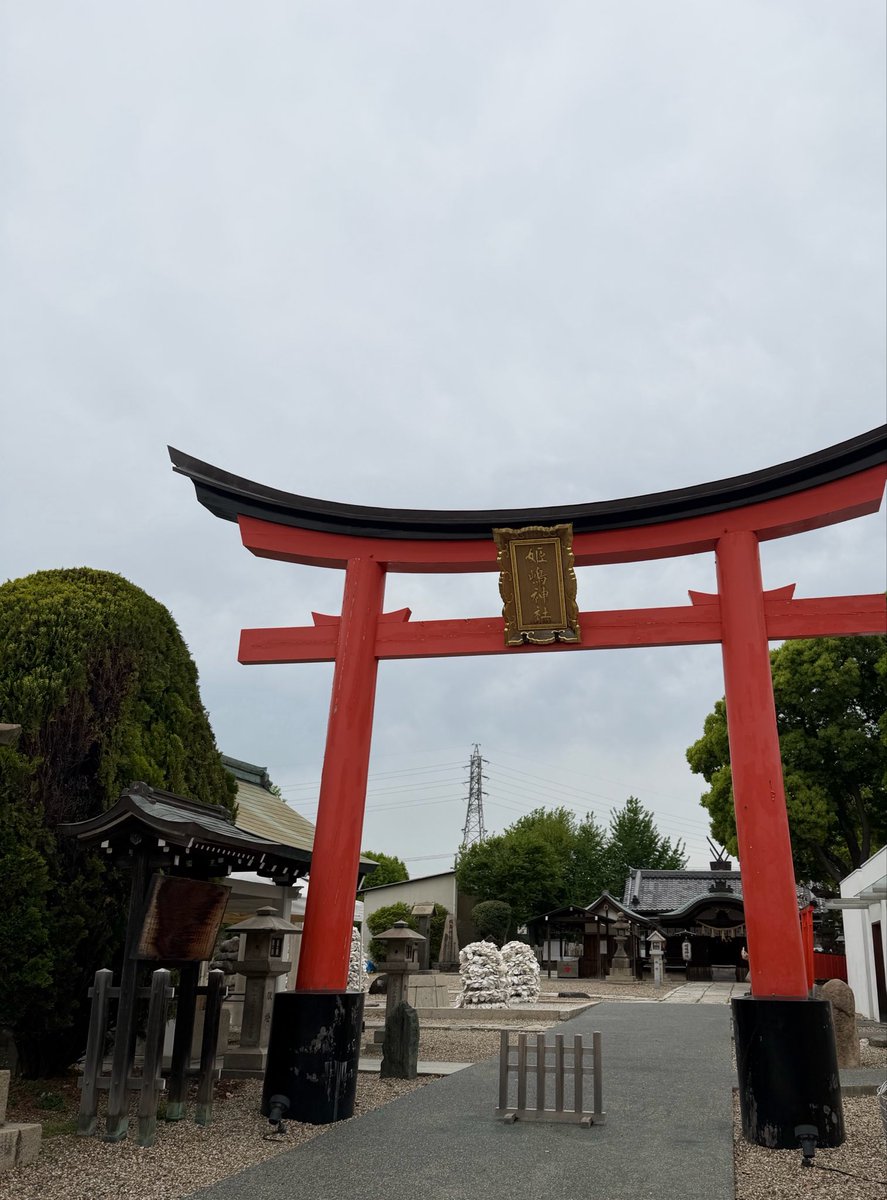 わい（y）🐤❤️ tweet media