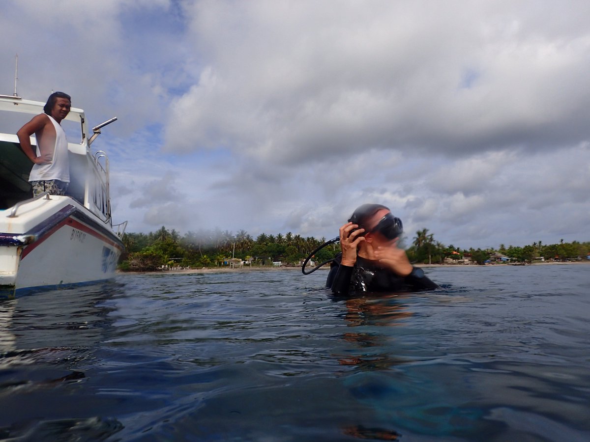 enadive's tweet photo. Come having fun with them, book to https://t.co/HnQv5WaDgS #divers #divetrip #scubadivers #divingboat #boatdiving https://t.co/bAVGf9VzpC