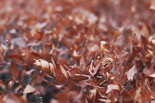 Steven Kennedy tweet media