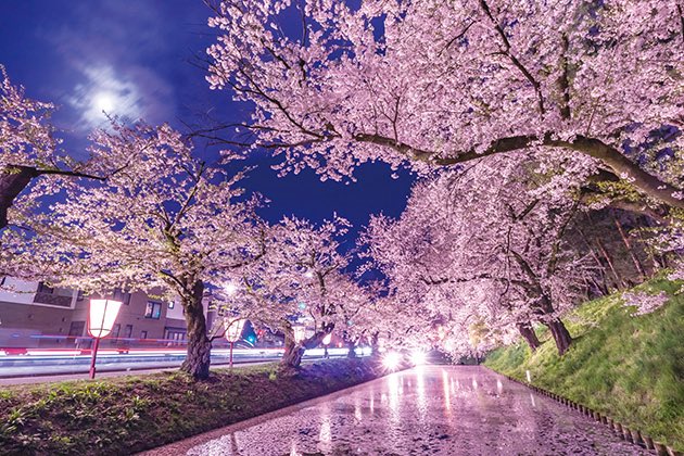 アンタレス tweet media