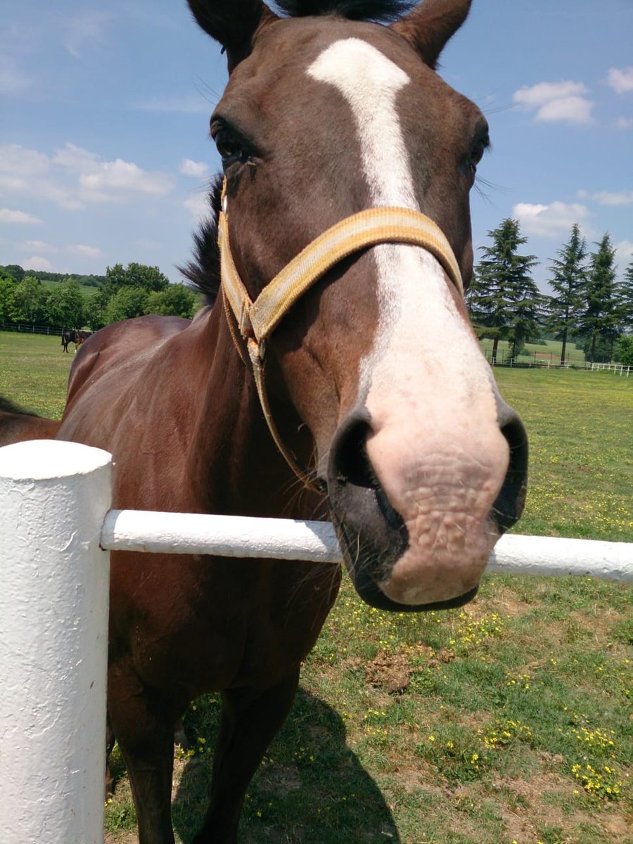 NewsByStewie tweet media