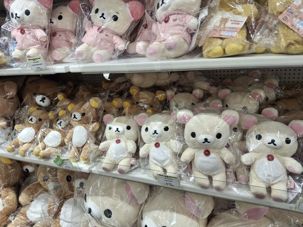 용의자 tweet media