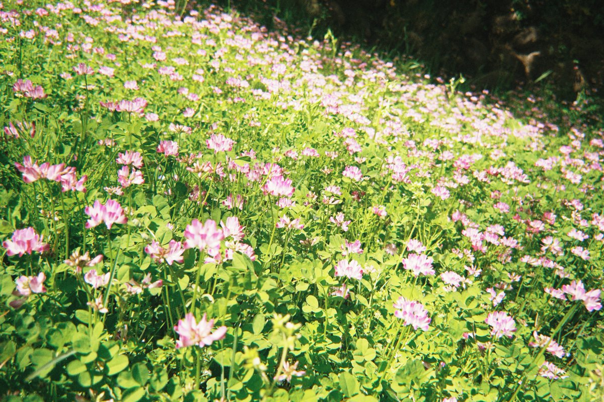 いがりなつみ tweet media