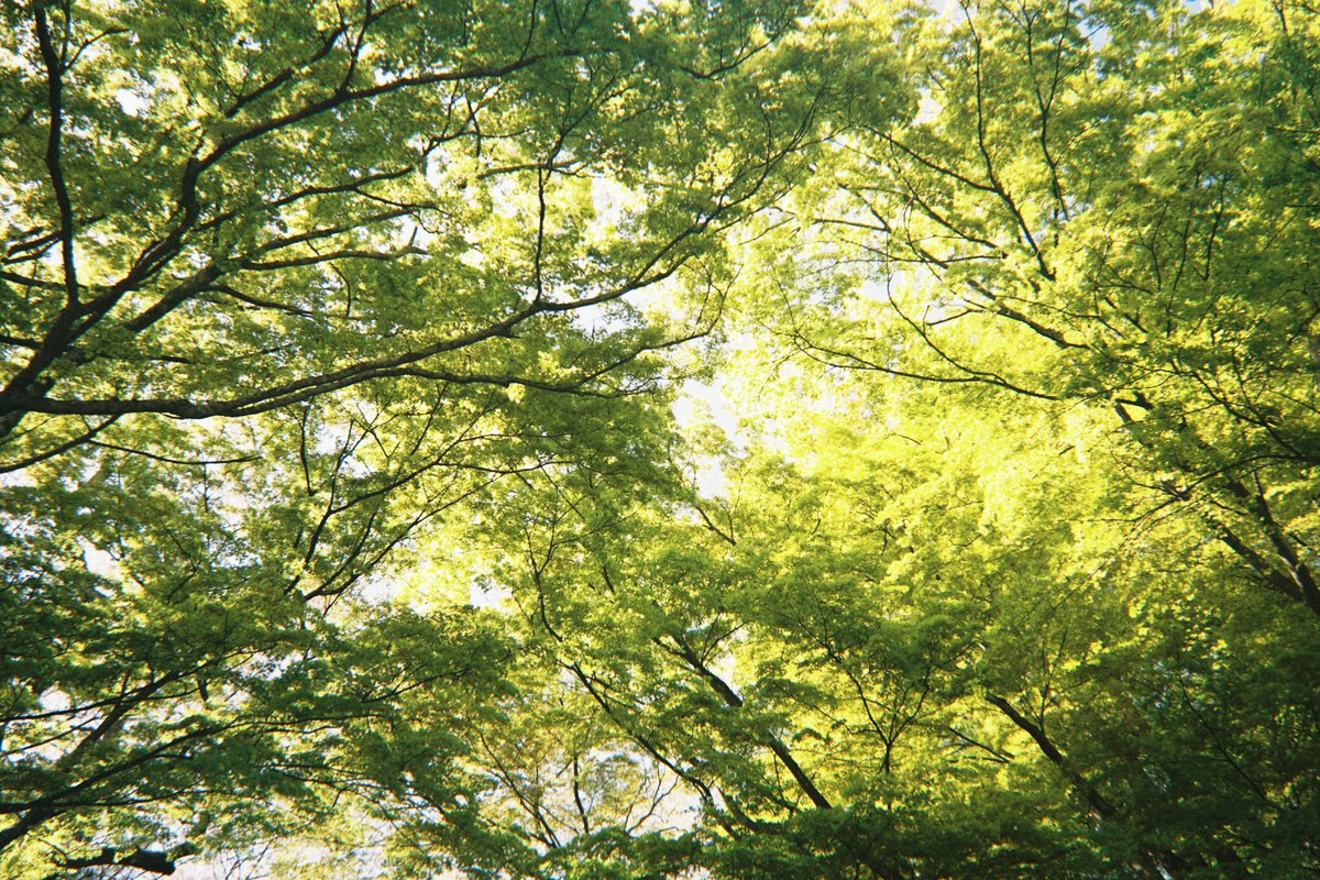 いがりなつみ tweet media