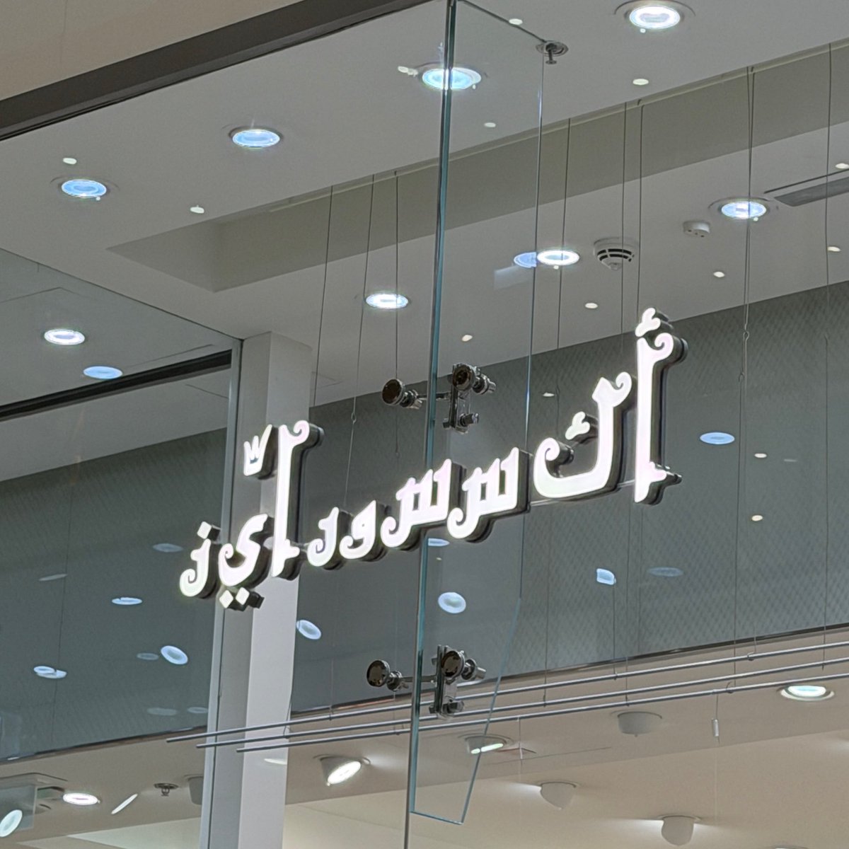 ✧ cass 🇵🇸 tweet media