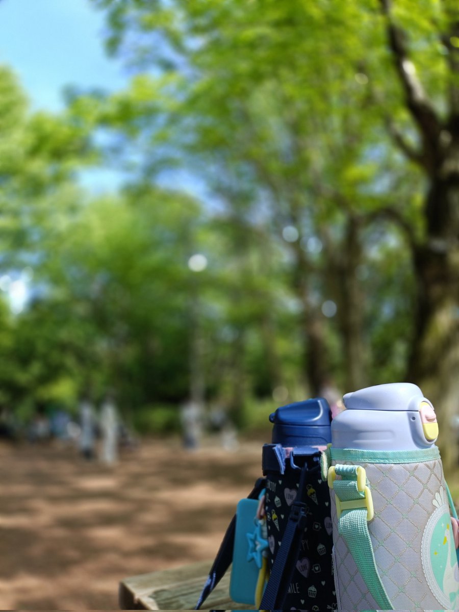 0n7Rd's tweet photo. 「あと何回」
子供たちが大きくなってきて思うこと
毎週、いや毎日のように公園に連れ出していた頃が懐かしい😌
シンドかったなぁ！！(笑)
すぐ手を差し伸べられる位置でついて回っていた頃もあった
今は遠くで見守れる、、、
＃公園
＃小学生姉妹 https://t.co/mJnr1LXZch