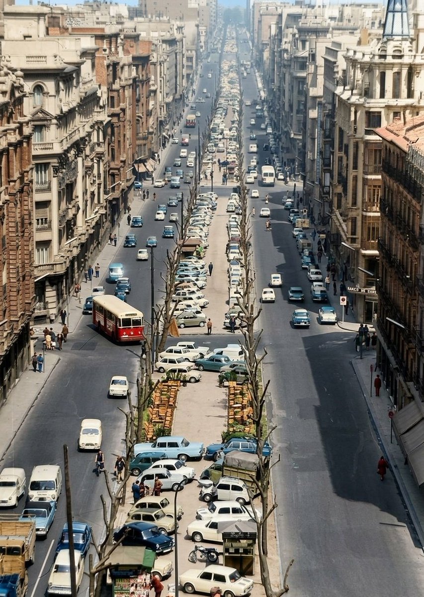 Adrián | Gato por Madrid 😺 tweet media