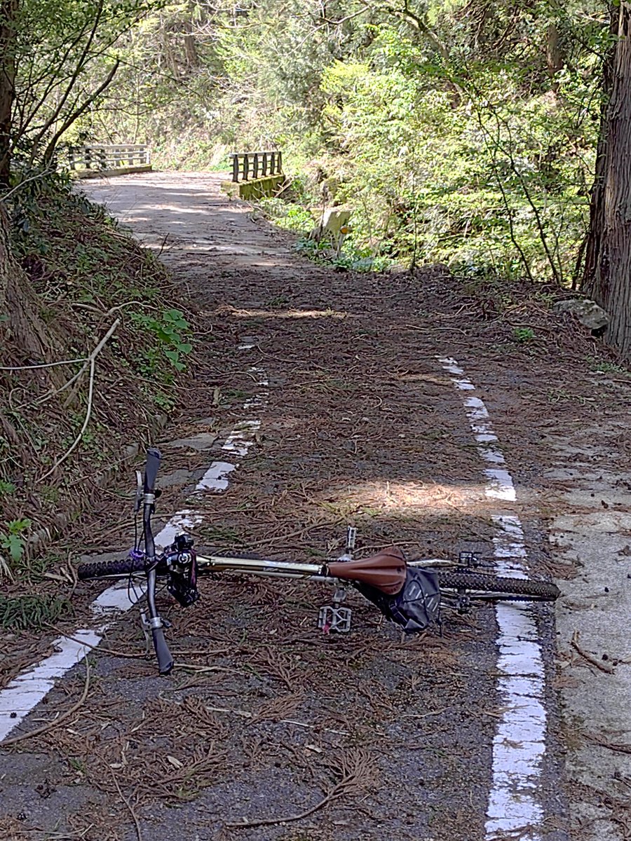 ヨッキれん／平沼義之 tweet media