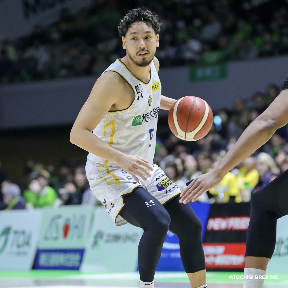 宇都宮ブレックス / UTSUNOMIYA BREX tweet media