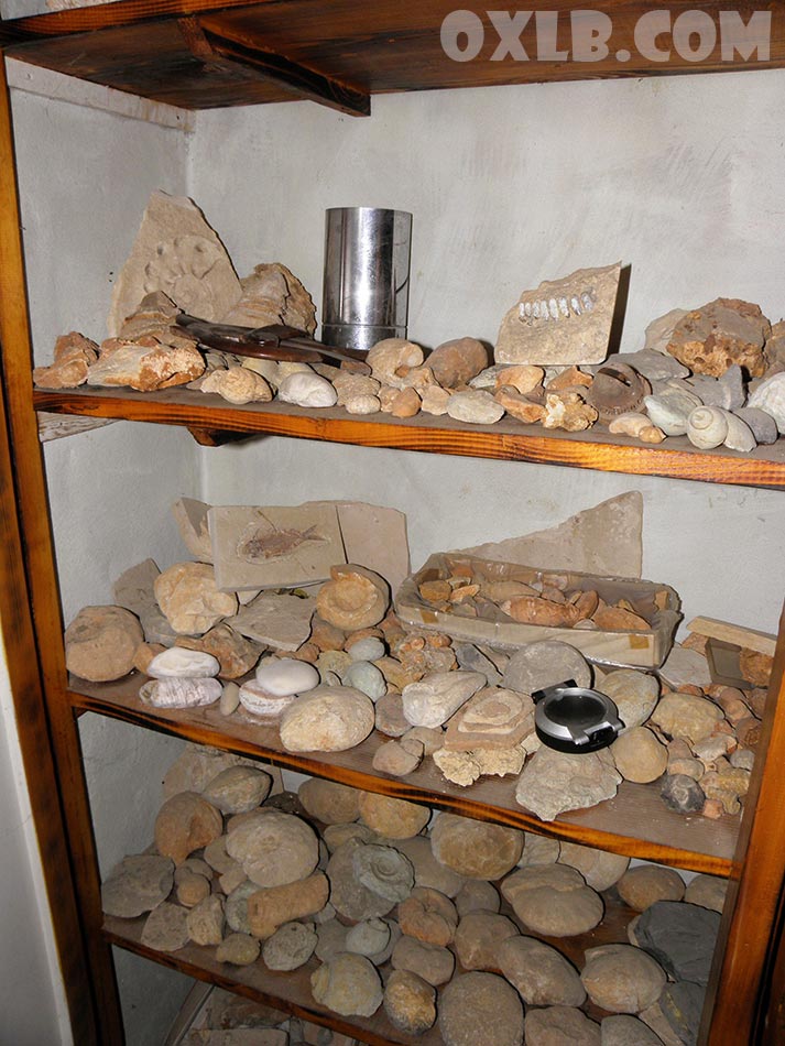 onefineart's tweet image. Photos I took inside a house in Gharzouz... New Videos: youtube.com/williammatar I was surprised... everything looks so old in this house... frozen in time, truly... a salon, a potato, a sewing machine and stones!! #old #lebanon #oldlebanon #oldtime