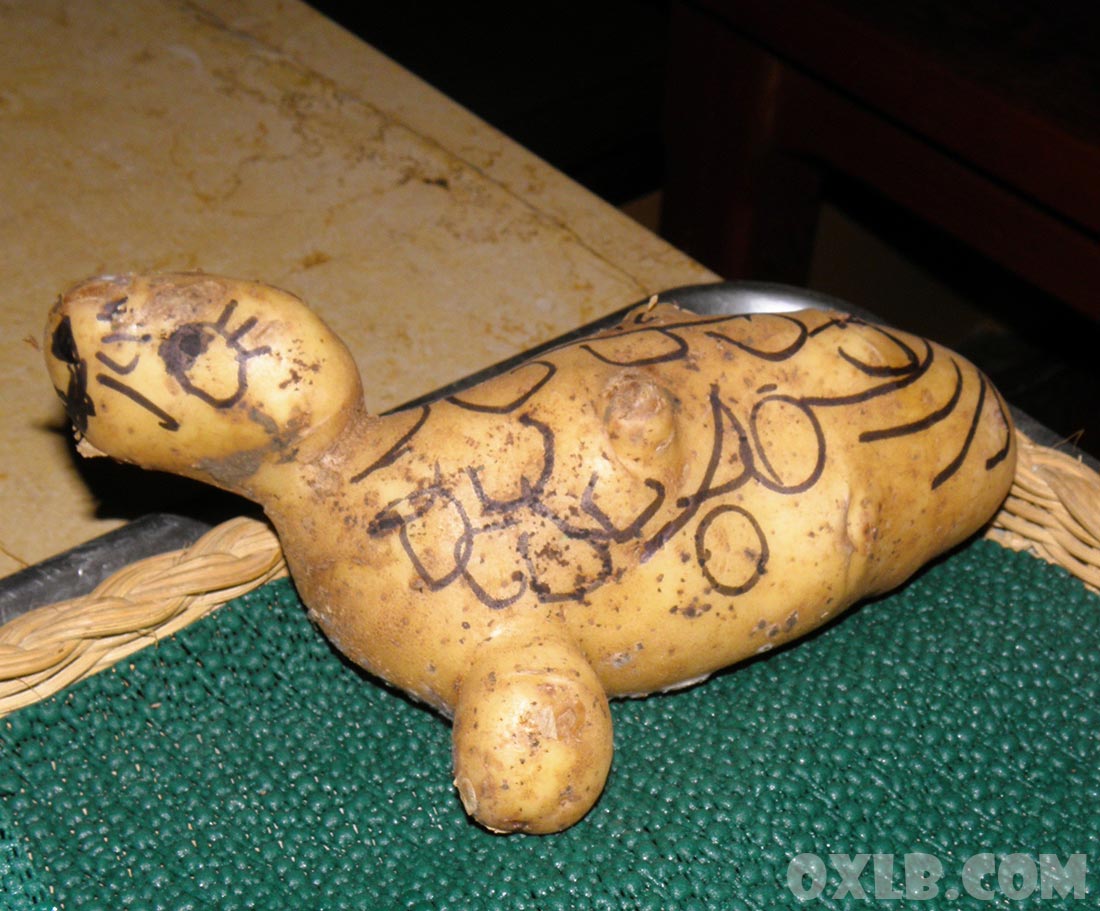 onefineart's tweet image. Photos I took inside a house in Gharzouz... New Videos: youtube.com/williammatar I was surprised... everything looks so old in this house... frozen in time, truly... a salon, a potato, a sewing machine and stones!! #old #lebanon #oldlebanon #oldtime