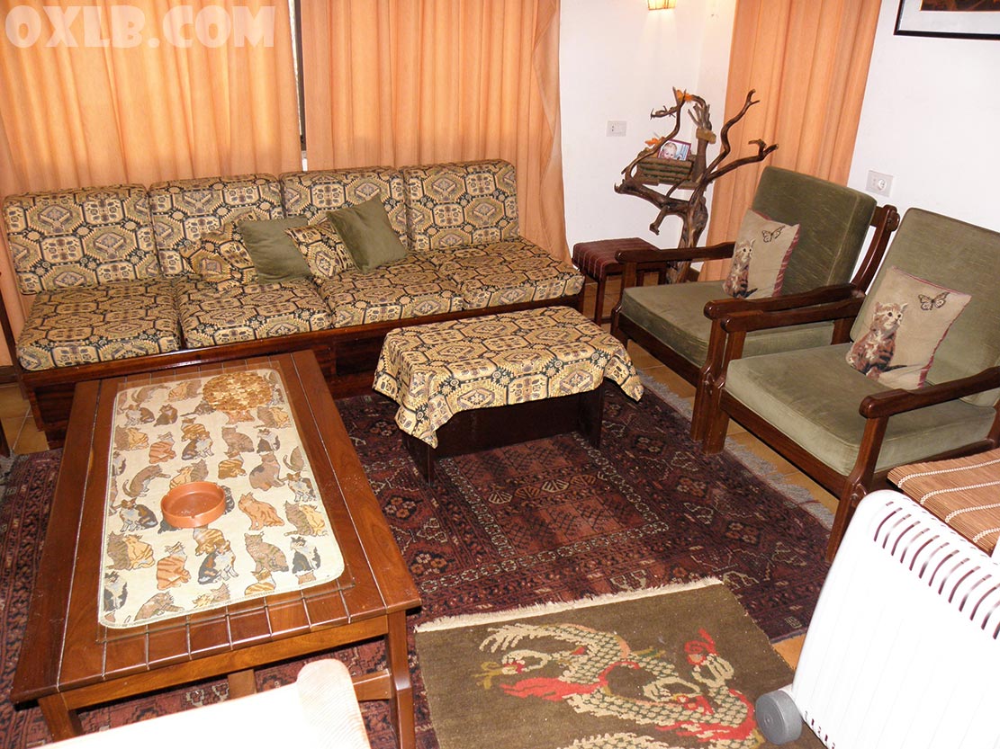 onefineart's tweet image. Photos I took inside a house in Gharzouz... New Videos: youtube.com/williammatar I was surprised... everything looks so old in this house... frozen in time, truly... a salon, a potato, a sewing machine and stones!! #old #lebanon #oldlebanon #oldtime