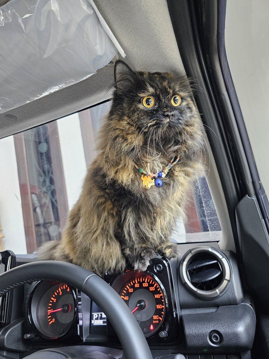 Coffee bae tweet media