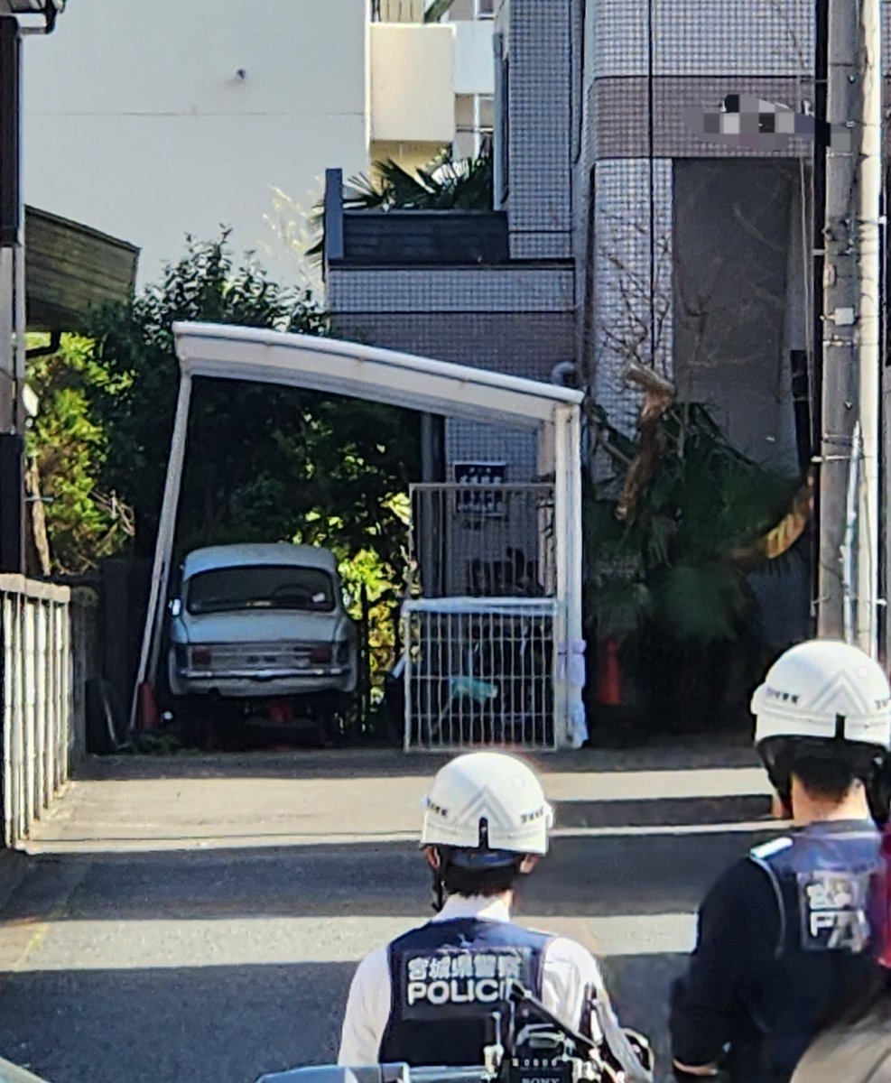 仙台は午後２時半。クマは寝ているみたいだとか。後輩記者と先輩カメラマンに差し入れしてきました。