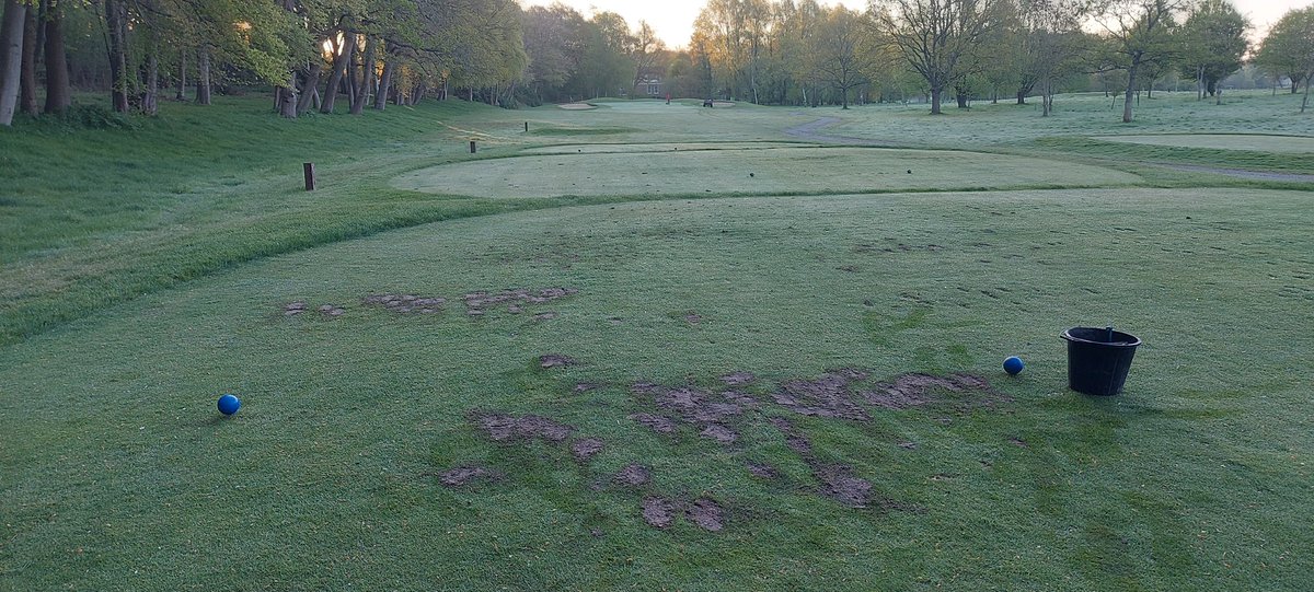 WGC Agronomy tweet media