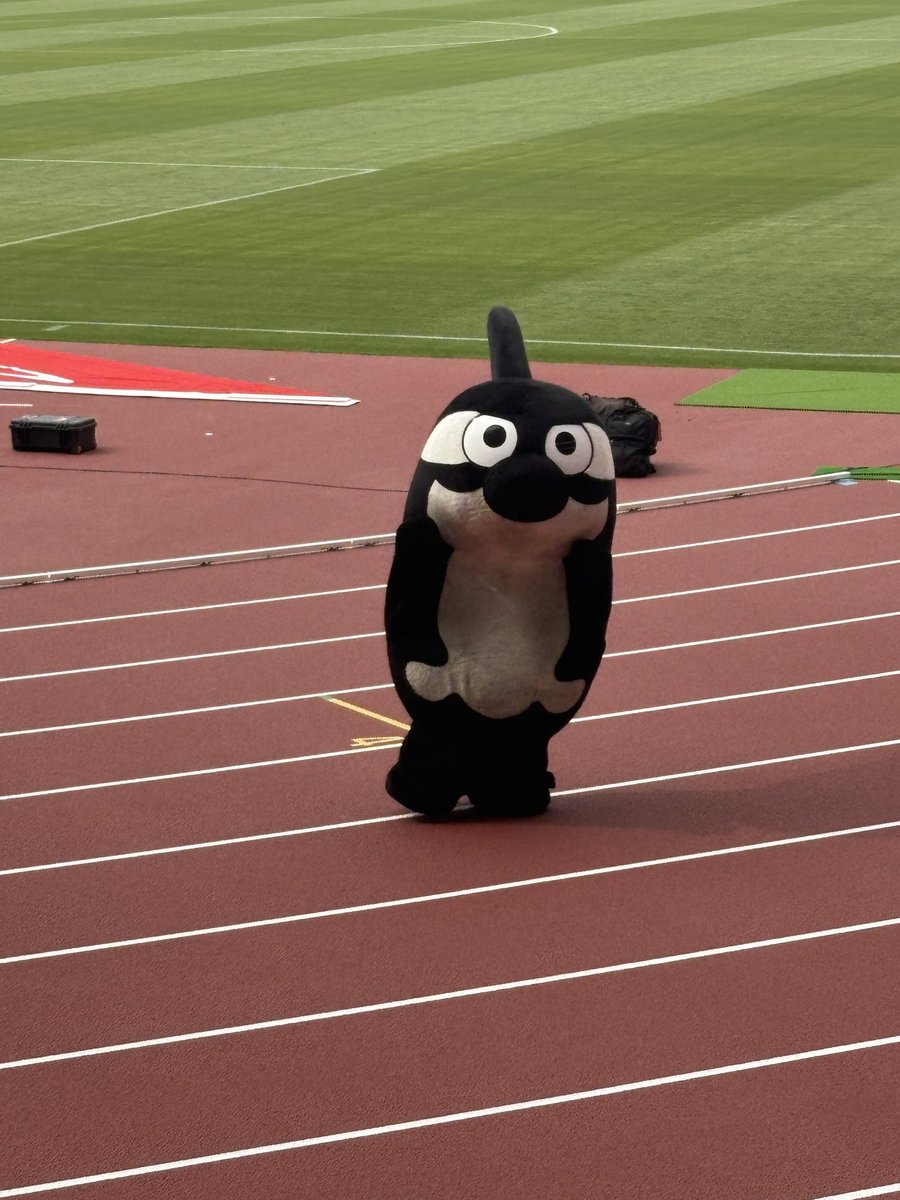 佐々木 tweet media