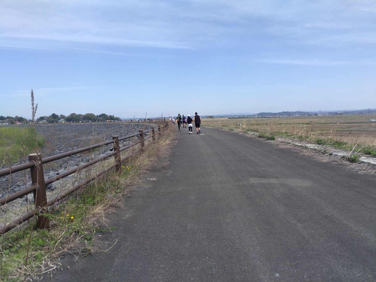 のりたま tweet media