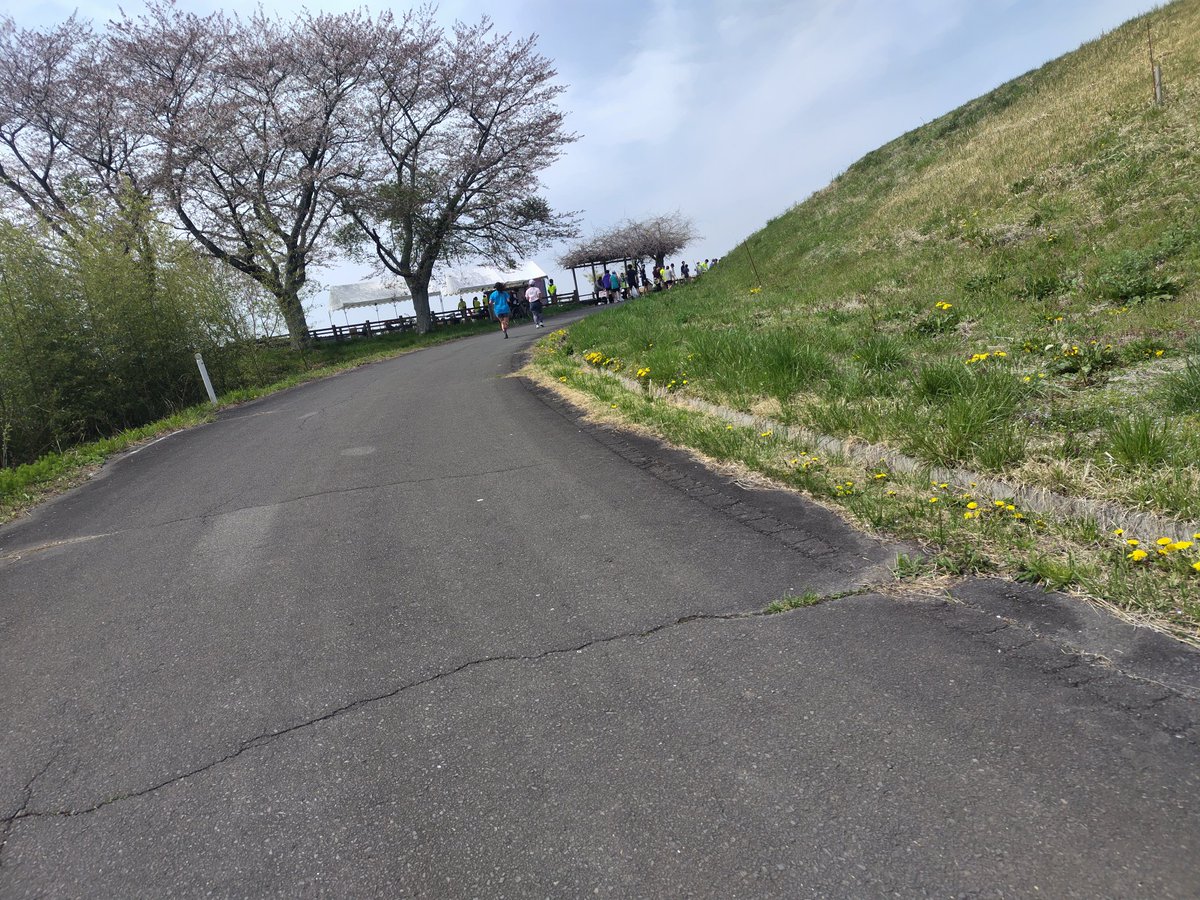 のりたま tweet media