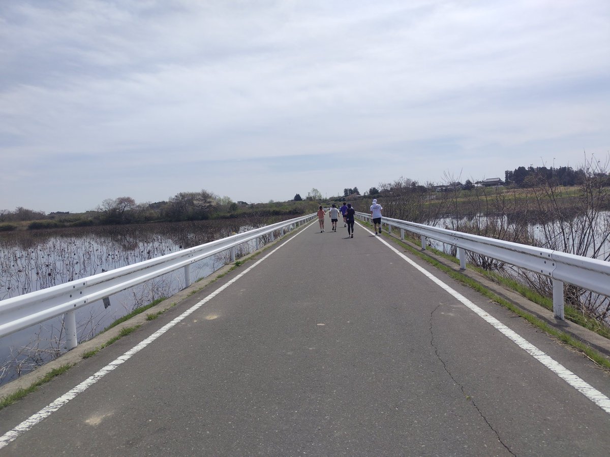 のりたま tweet media